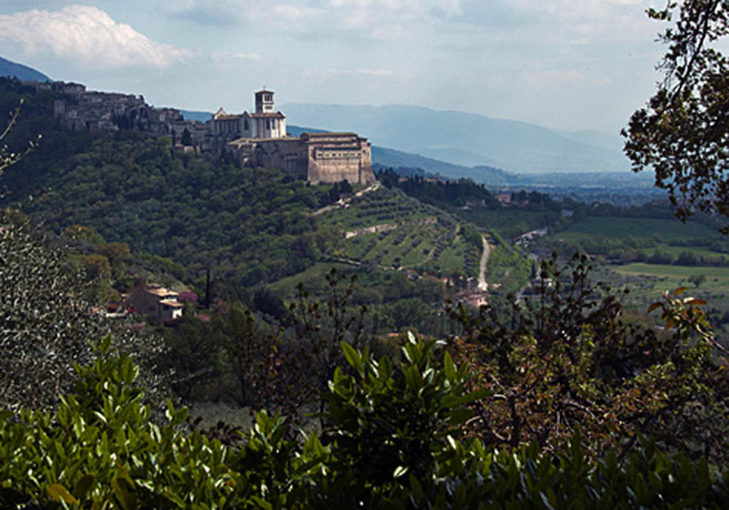 B&B Colle San Francesco Assisi Exteriör bild