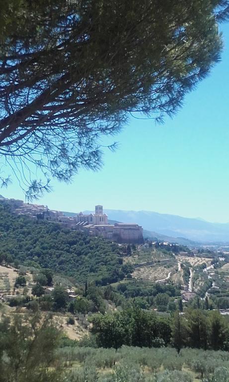 B&B Colle San Francesco Assisi Exteriör bild